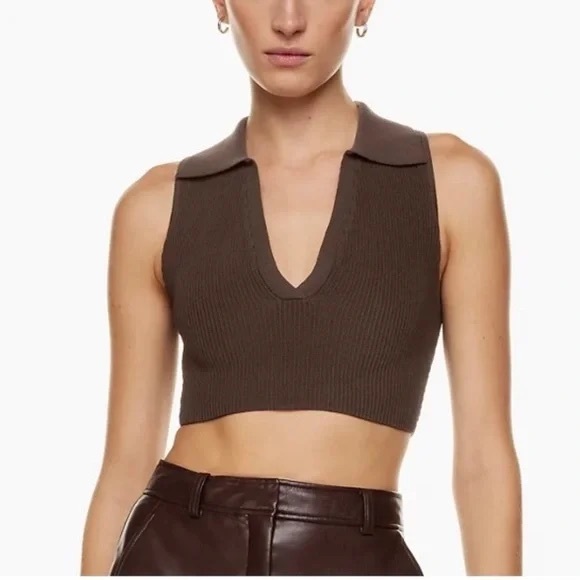 Babaton Aritzia Sculpt Knit Collar Crop Top - Picture 2 of 4